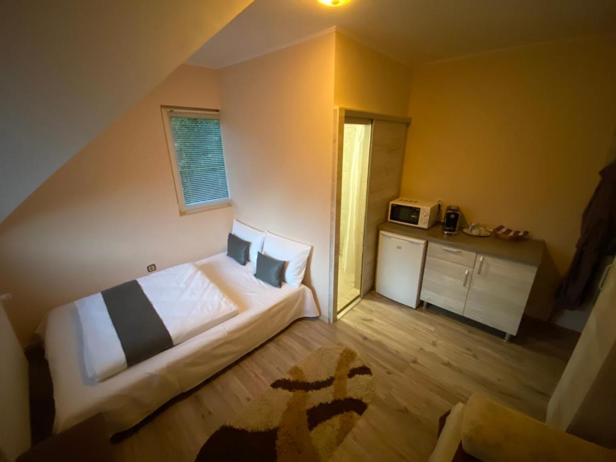 Hotel Vila Eszter Sovata Esterno foto
